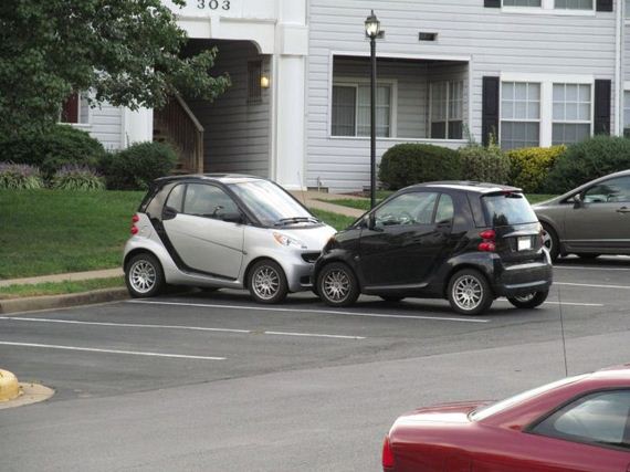 funny-pictures-301