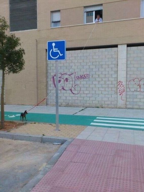 funny-pictures-301