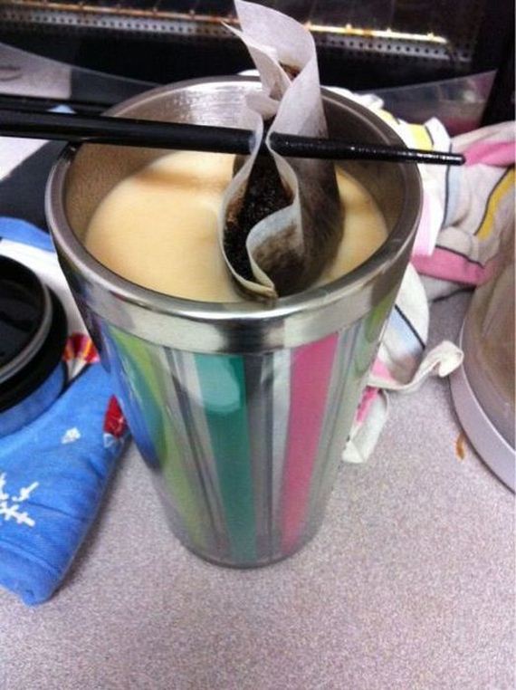 funny-pictures-301