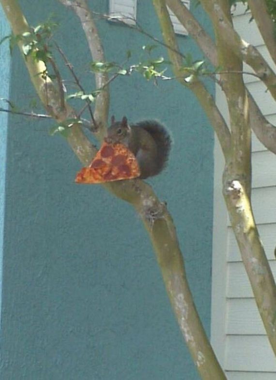 funny-pictures-301