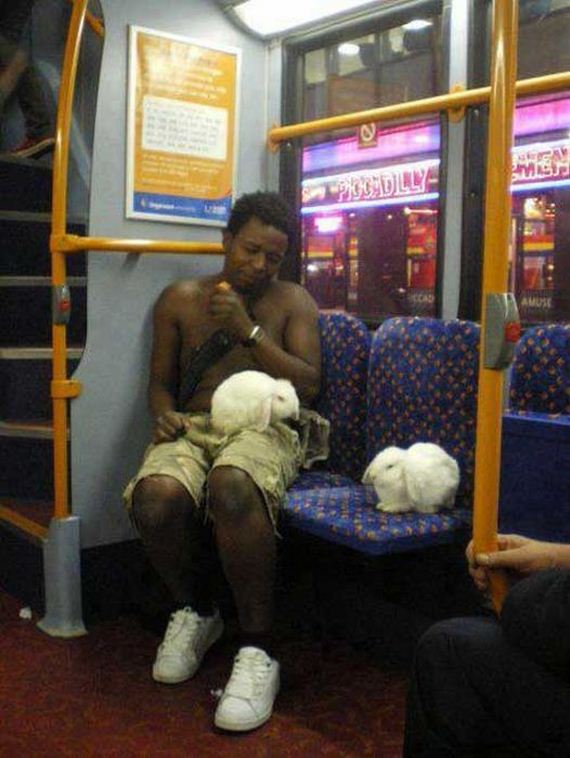 funny-pictures-301