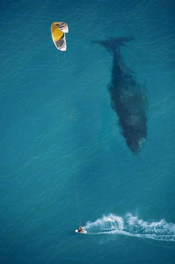 funny-pictures-302