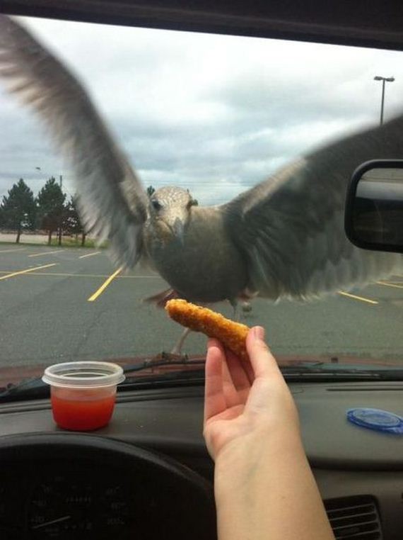 funny-pictures-302