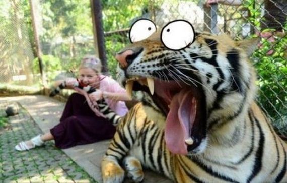 funny-pictures-302