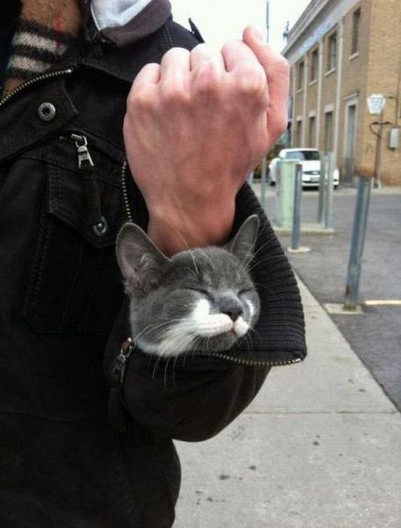 funny-pictures-302