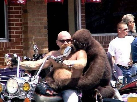 funny-pictures-302