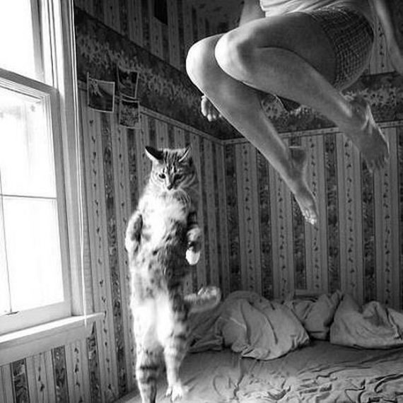 funny-pictures-302