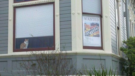 funny-pictures-303