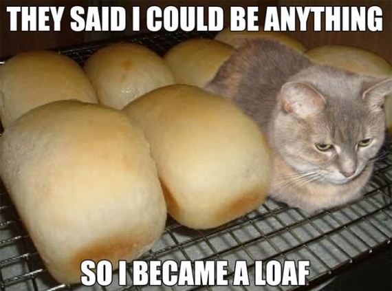 funny-pictures-303