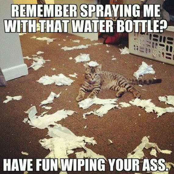 funny-pictures-303