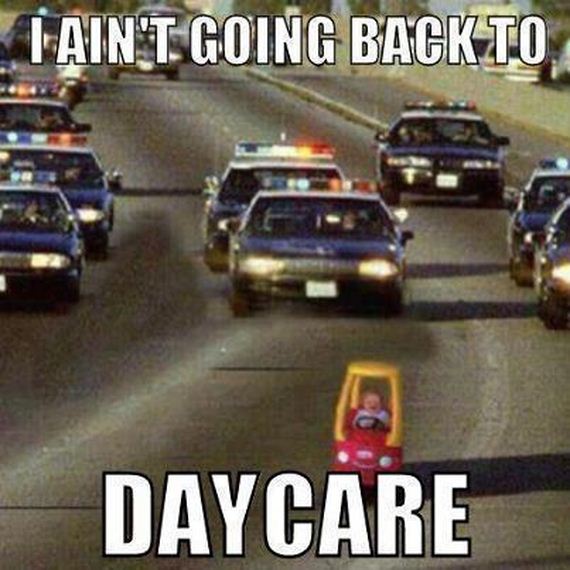 funny-pictures-303
