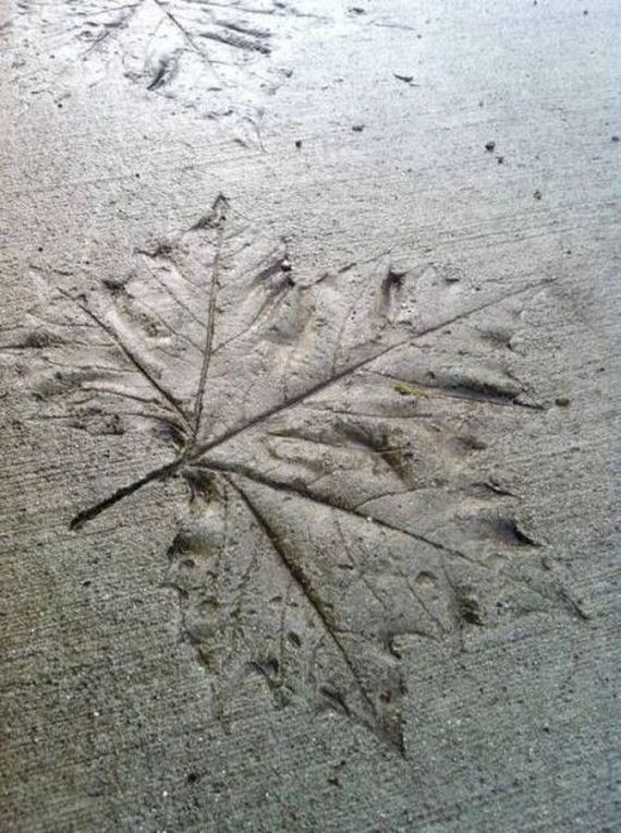 funny-pictures-304