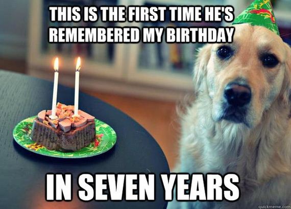 funny-pictures-304