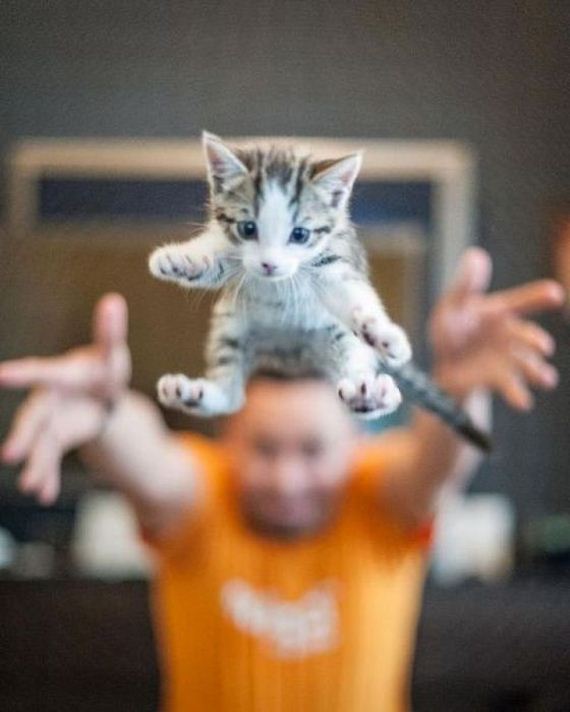 funny-pictures-304