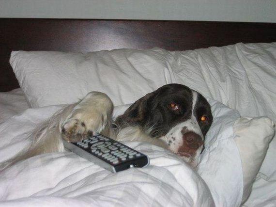 funny-pictures-304