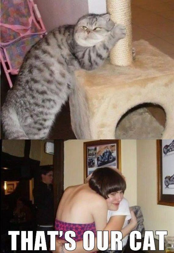 funny-pictures-304