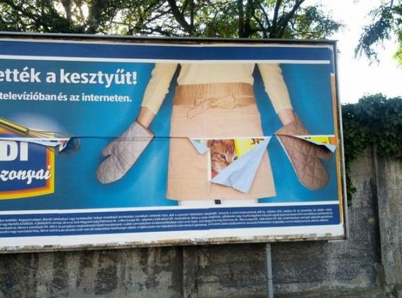 funny-pictures-307