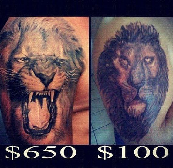funny-pictures-311