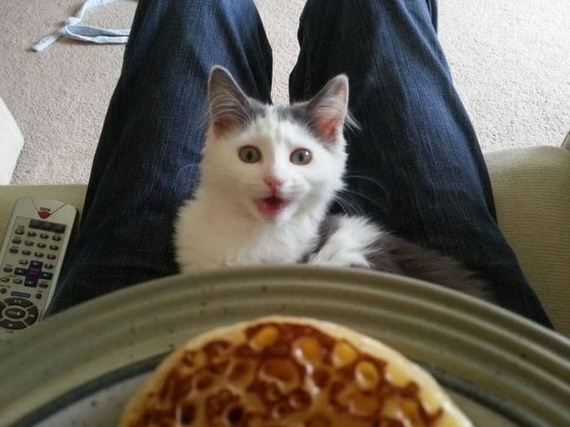 funny-pictures-312