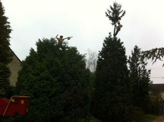 funny-pictures-312