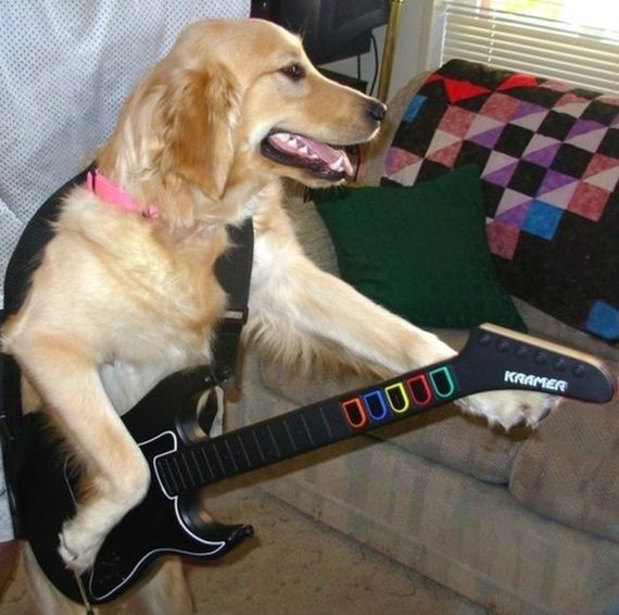funny-pictures-313