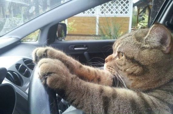funny-pictures-313