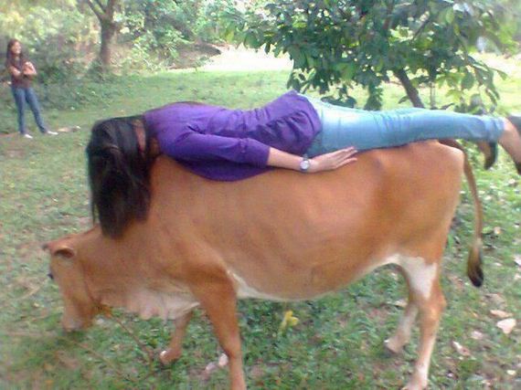 funny-pictures-313