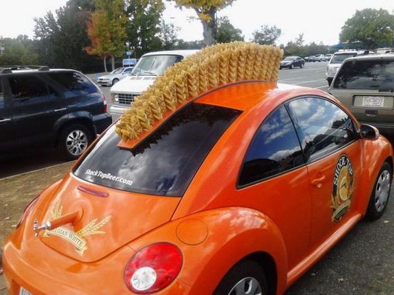 funny-pictures-313