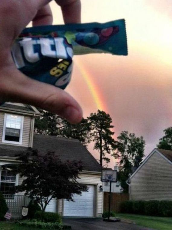 funny-pictures-313