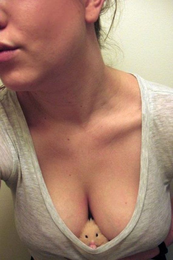 funny-pictures-314