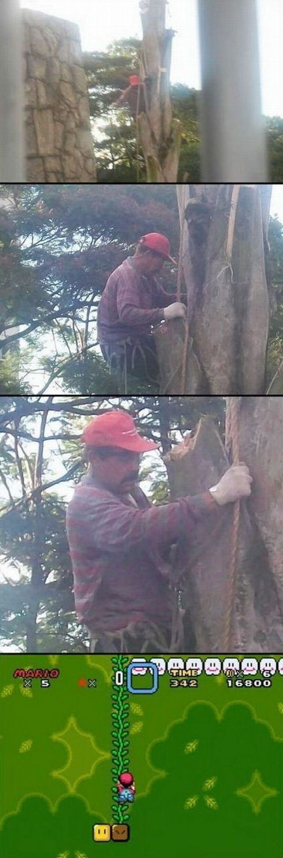 funny-pictures-314