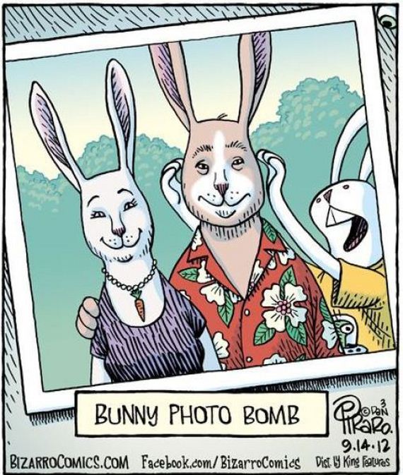 funny-pictures-314