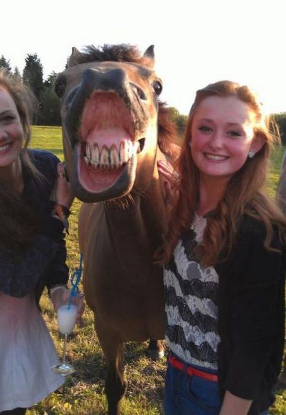 funny-pictures-320