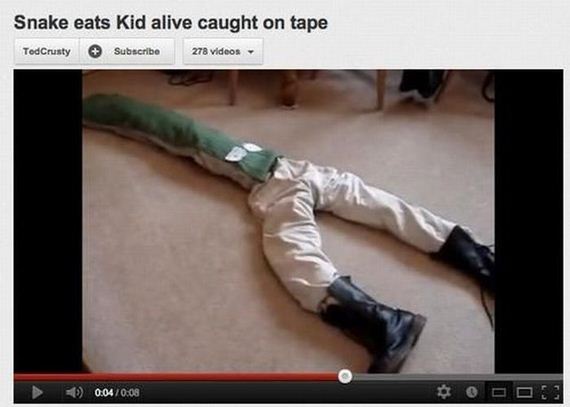 funny-pictures-320