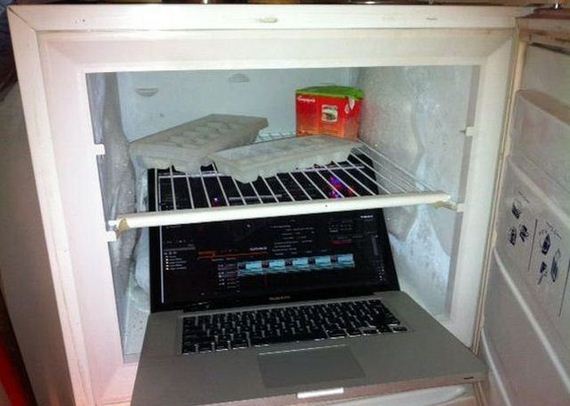 funny-pictures-320