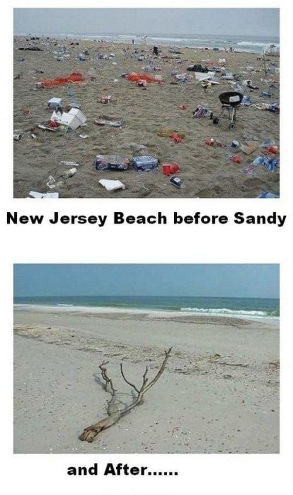 funny-pictures-320
