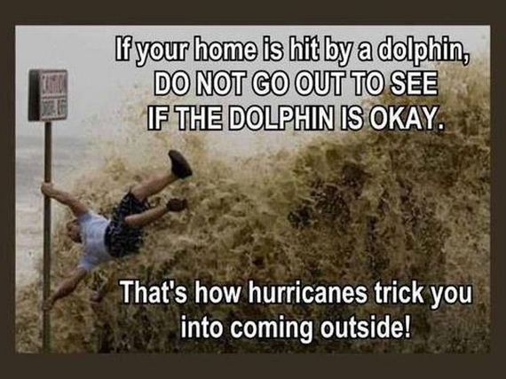 funny-pictures-320