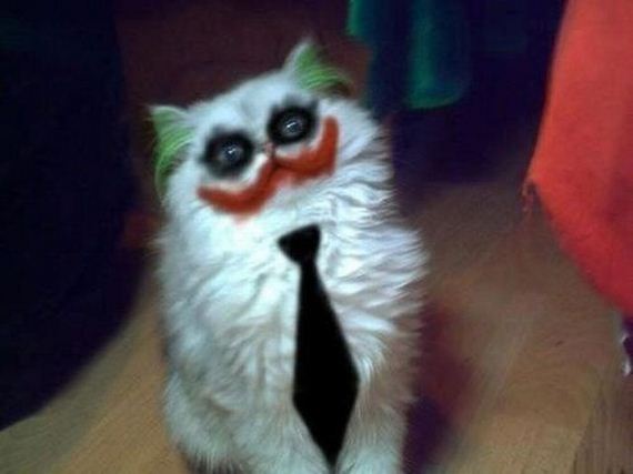 funny-pictures-322