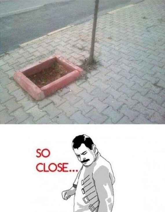 funny-pictures-323
