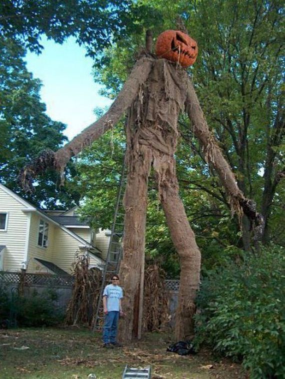 funny-pictures-323