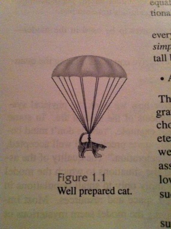 funny-pictures-323