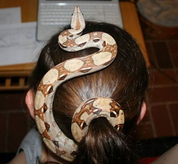 funny-pictures-323