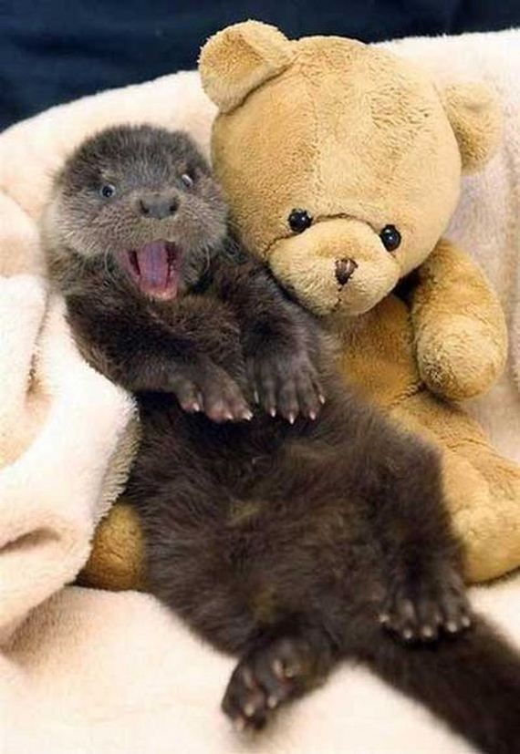 funny-pictures-324