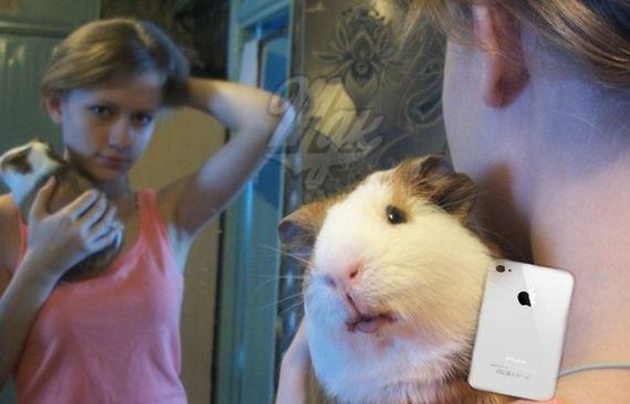 funny-pictures-324