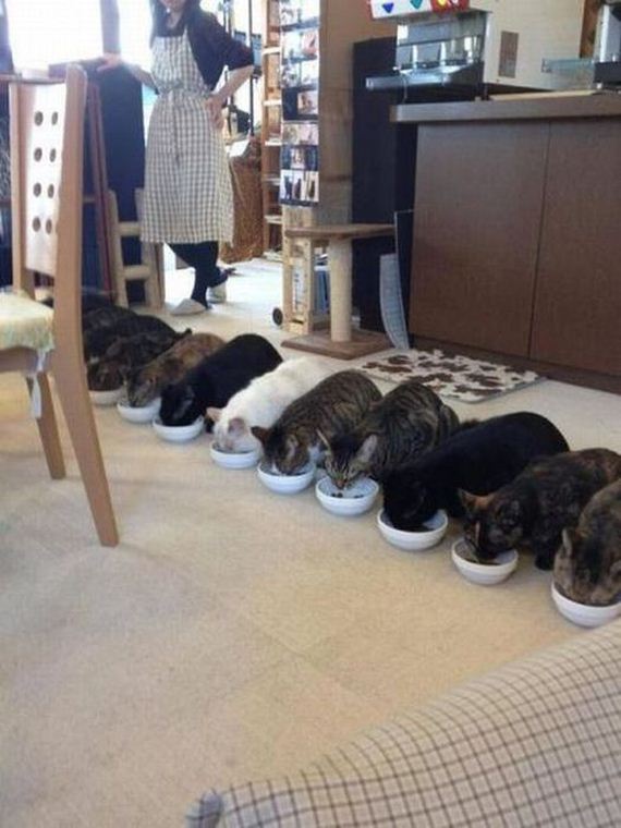 funny-pictures-324