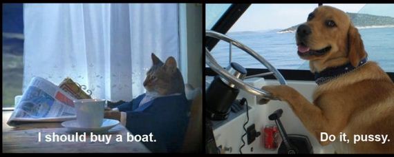 funny-pictures-324