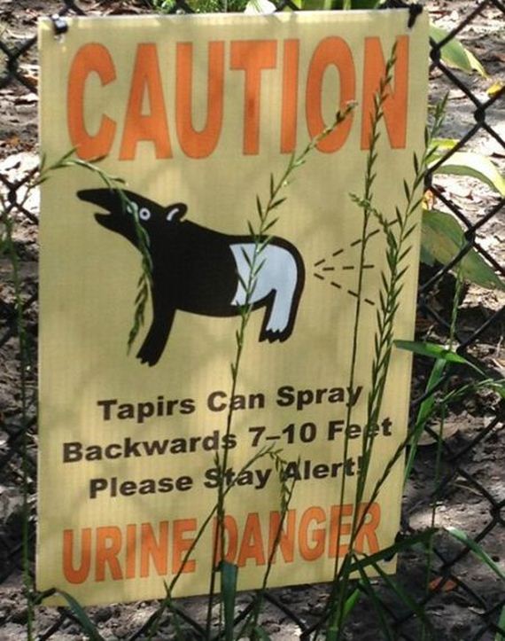 funny-pictures-324