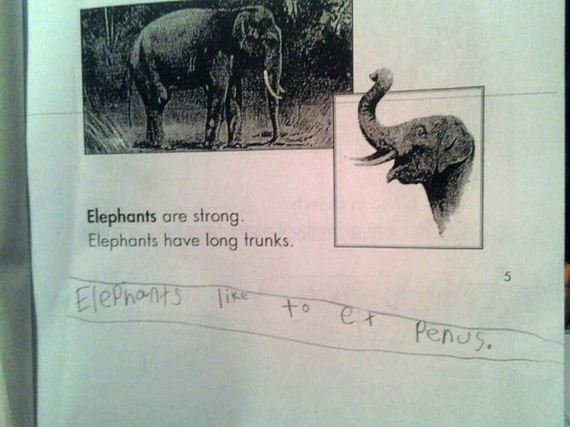 funny-pictures-325