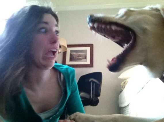 funny-pictures-325