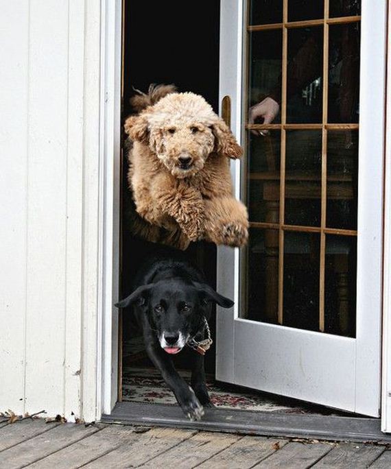 funny-pictures-329